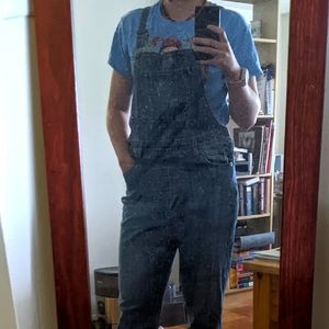 Universal Thread Denim Overalls